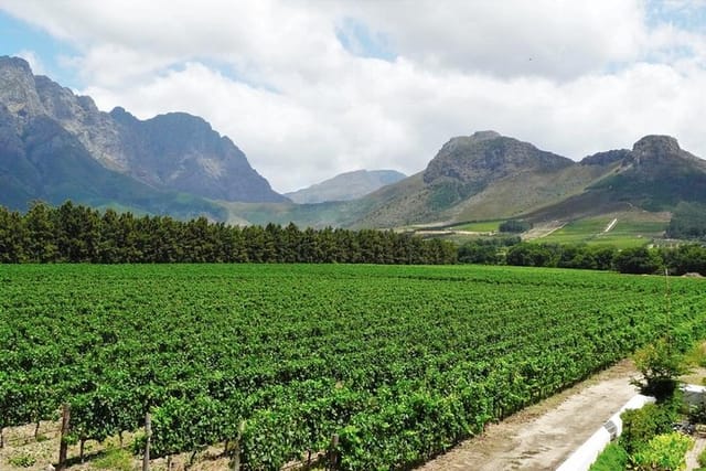 Franschhoek Winelands Guided Wine Cycle Tour